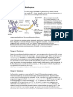 Fisiologia - Neurofisiologia I - Sinapsis; Señales Fisiologicas