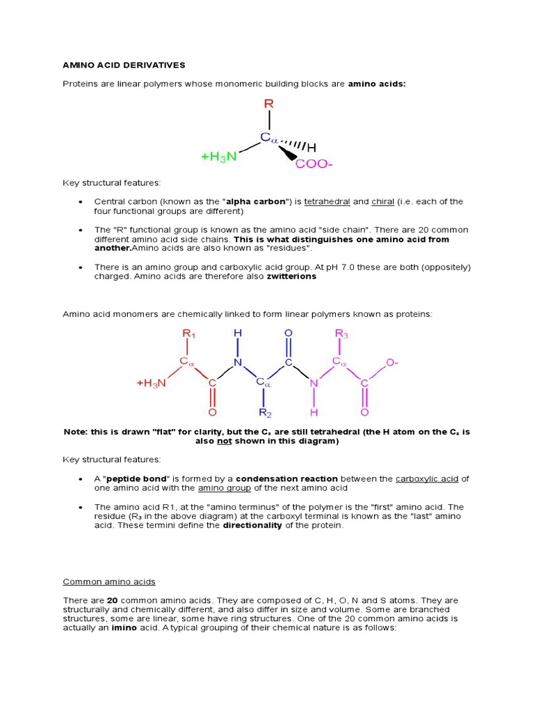 Amino Acid Derivatives Amino Acid Amine