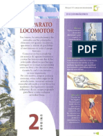 3º ESO Aparato Locomotor PDF