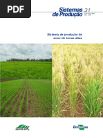 Sistema Produção Arroz Terras Altas