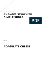 Changes Starch To Simple Sugar: Amilase