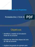 Organización y Ciclo de Vida