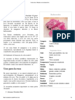 Rodocrosita - Wikipedia, La Enciclopedia Libre PDF