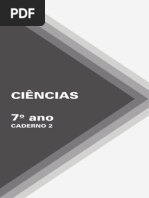 Efii Aluno Cad2 Dl Cie 7ano 15