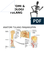 Anatomi & Fisiologi Tulang