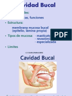 II 3a Semiologia Labios 2015 PDF