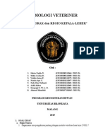 Soal Radiologi Aan