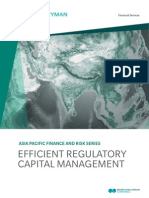 Efficient Regulatory Capital Management