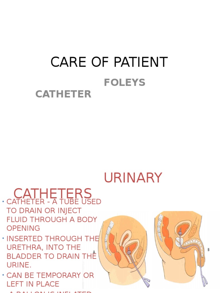 Foleys Catheter | PDF | Home & Garden | Wellness