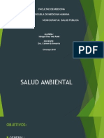 Contaminacion Ambiental