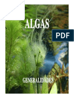 Algas - Primera Parte