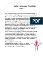 The Cardiovascular System