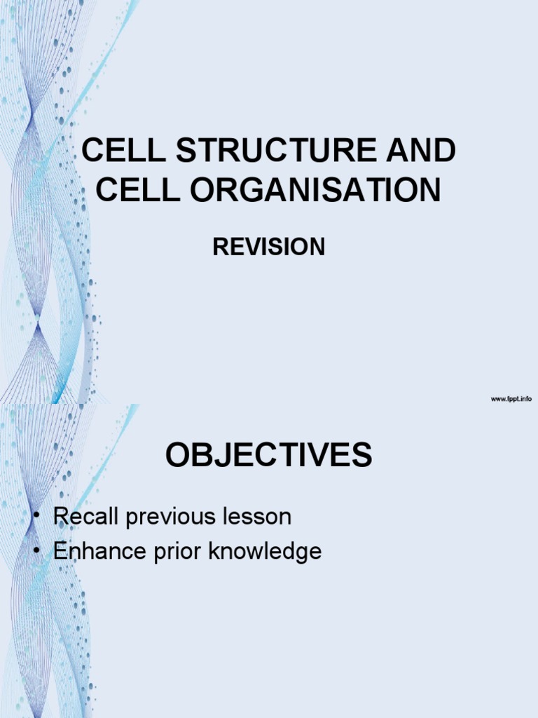 Cell Structure and Organization Guide | PDF