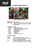 Download Katalog Tanaman Obat Bunga by Aris Shodik In SN269312956 doc pdf