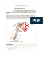 Vascularización de La Extremidad Superior