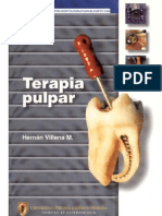 Endodoncia - Terapia Pulpar - Villenas