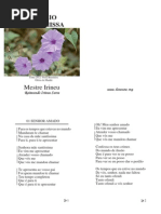 Mestre Irineu - A Santa Missa - Folha Usada