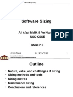Software Sizing