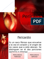 Corazon -Pericardio