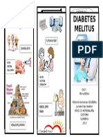 Leaflet Diabetes Melitus