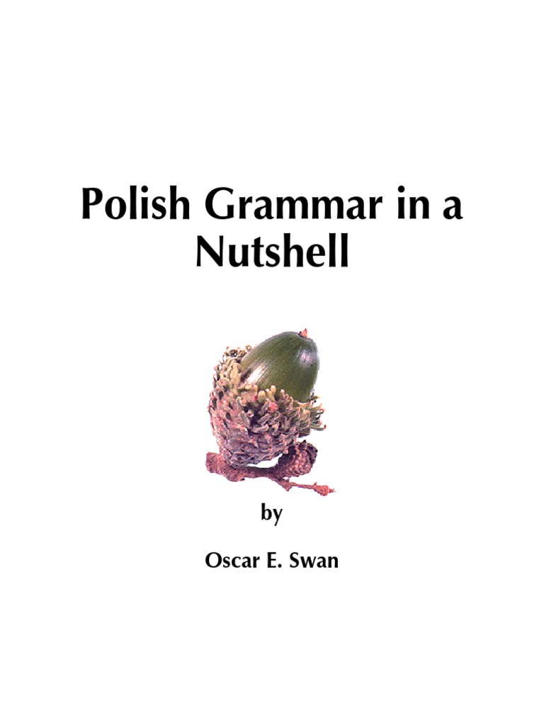 Polish Grammar in A Nutshell PDF