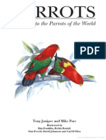 Parrots a Guide to the Parrots of the World