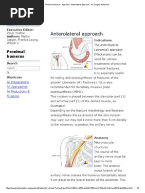 Proximal Humerus Approach Anterolateral Approach Ao Surgery Reference Anatomical Terms Of Location Human Anatomy