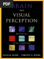 Brain and Visual Perception 1 0195176189 PDF