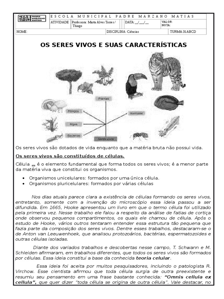 Seres Vivos e Suas Caracteristicas | PDF | Célula (Biologia) | Organismos