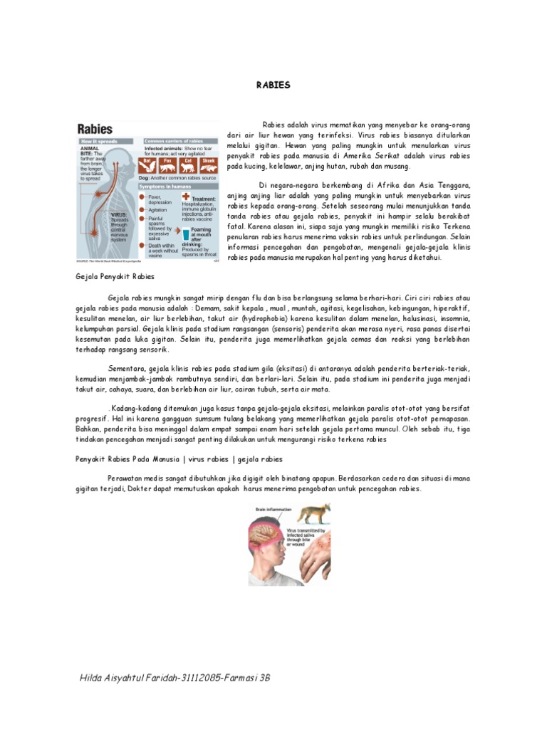 Rabies | PDF