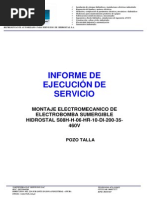 Informe de Ejecución de Servicio Los Portales