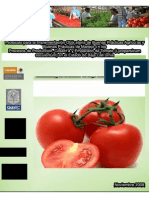 Protocolo de Tomate