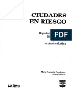 Ciudades en Riesgo