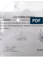 Certificado - Profesor en El 2do Forum Internacional de Implantes de Poliuretano