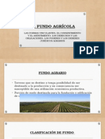 El Fundo Agrícola