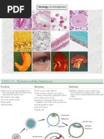 Download Histology An Introduction by Sarah SN26940978 doc pdf