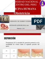 Occipucio Posterior Persistente