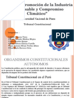 Tribunal Constitucional.pptx