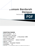 Demam Berdarah Dengue