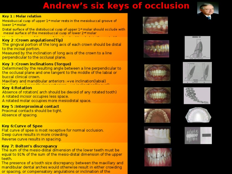 andrew-s-six-keys-of-occlusion-explained-pdf-science-mathematics