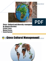 Cross Cultural and Diversity Management