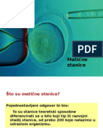 Matične Stanice - Novo