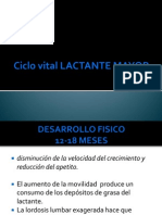 Ciclo Vital LACTANTE MAYOR PDF