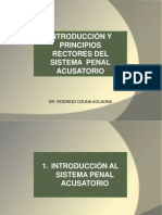 Principios Rectores Del Sistema Penal Acusatorio (Jun 2015)