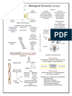 BD Concept Map 9