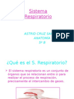Sistema Respiratorio (Anatomia)