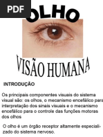 OLHO E VISAO HUMANA.ppt