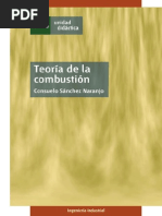 Teoría de La Combustión