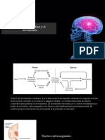 Control de la Postura y el Movimiento.ppt