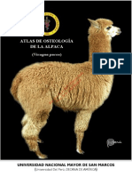 Osteología de La Alpaca Adulta (Atlas)